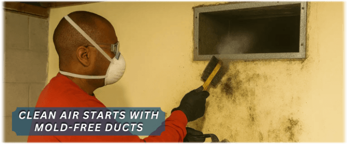 Air Duct Mold Removal in Waldorf MD