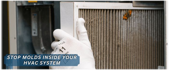 HVAC Mold Removal Waldorf MD